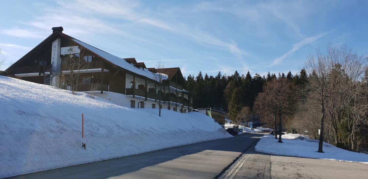 2 Zimmer Mitterdorf Philippsreut Exterior foto